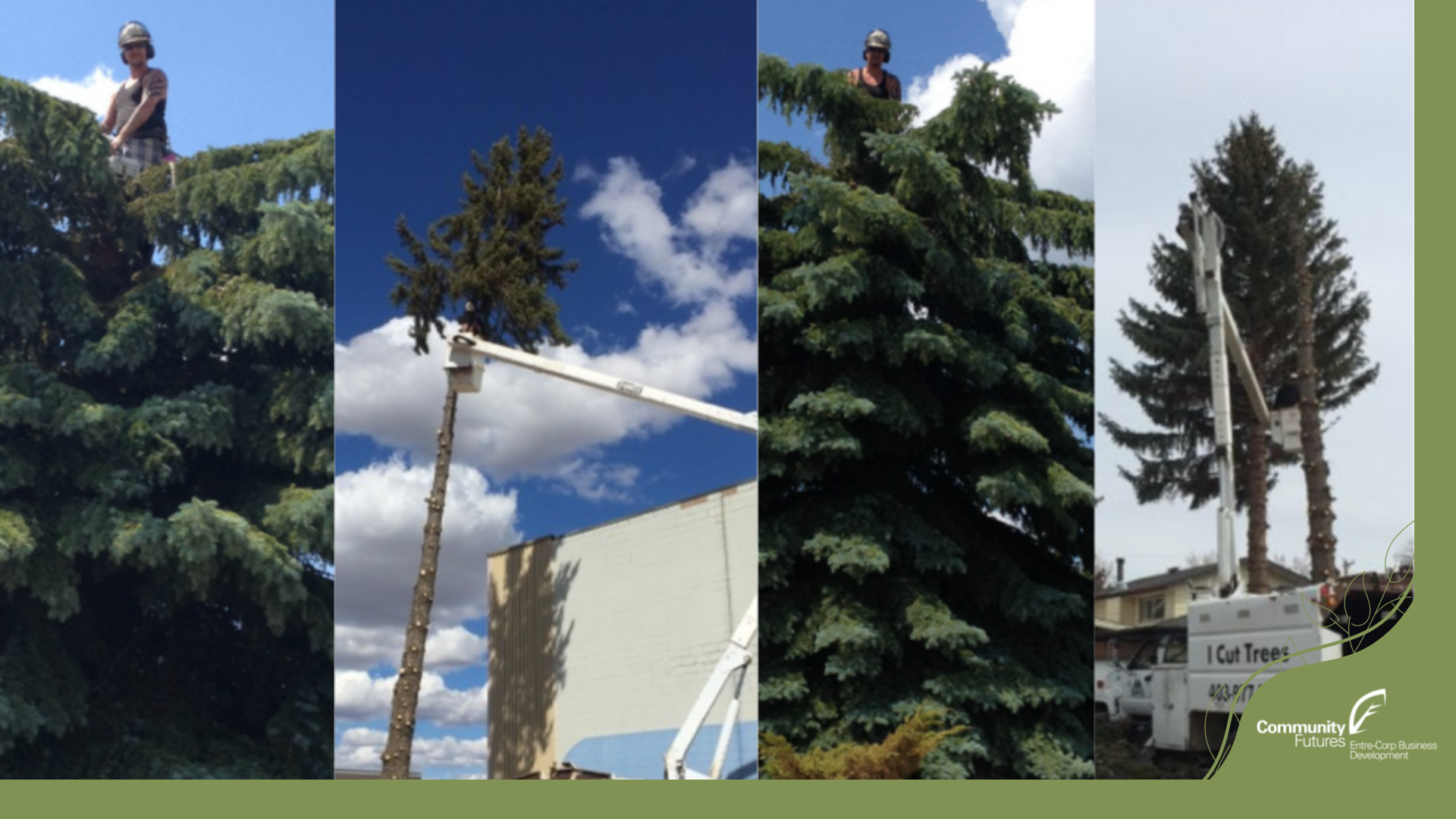 Regular Loan supports with new equipment for tree cutting and maintenance business